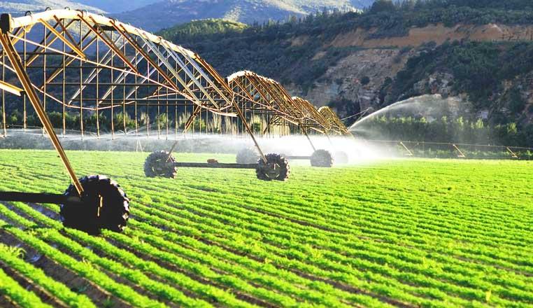 Online info system in Azerbaijan to unite all agricultural sector participants