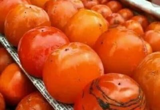 Persimmons export from Uzbekistan increases for 9M2020