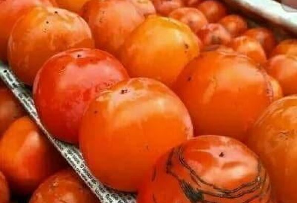 Persimmons export from Uzbekistan increases for 9M2020