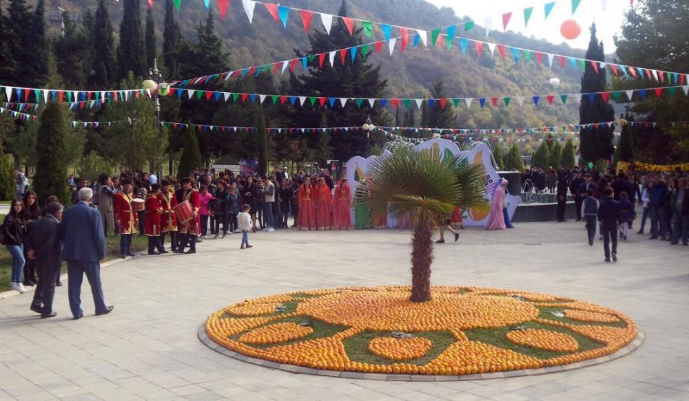 В Азербайджане проходит первый Фестиваль хурмы (ФОТО)