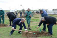 YAP “Hərəyə bir ağac əkək” kampaniyasına start verdi (FOTO)