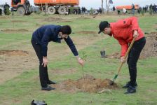 YAP “Hərəyə bir ağac əkək” kampaniyasına start verdi (FOTO)