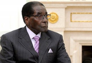 Zimbabwe's Robert Mugabe granted immunity