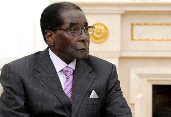 Zimbabwe's Robert Mugabe granted immunity
