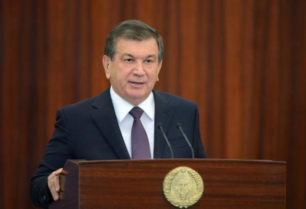 Uzbek president gives instructions for development of chemical industry