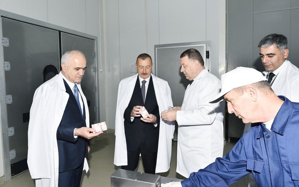 President Aliyev views Zahmat-Ruzi LLC in Absheron District (PHOTO)