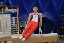 Стартовал второй день чемпионатов Азербайджана по спортивной гимнастике и акробатике (ФОТО)