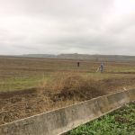 ANAMA: Cocuq Mərcanlıda 8500 kv.m ərazi təmizlənib