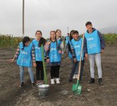 Orchards for low-income families planted in Azerbaijani districts (PHOTO)
