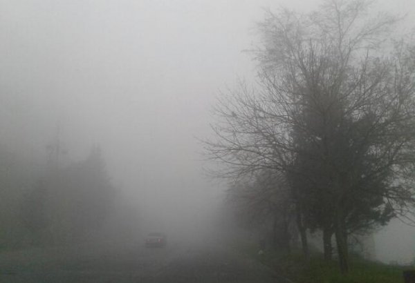Оранжевый уровень опасности объявлен в Беларуси 31 декабря из-за тумана