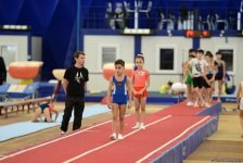 4 gimnastika növü üzrə Azərbaycan çempionatı və Bakı birinciliyi keçirilir (FOTO)