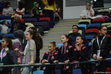 Стартовал заключительный день чемпионатов Азербайджана и первенств Баку по 4 гимнастическим дисциплинам (ФОТО)