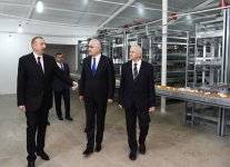 Президент Ильхам Алиев ознакомился с деятельностью птицефабрики в селе Низами Сабирабадского района (ФОТО)