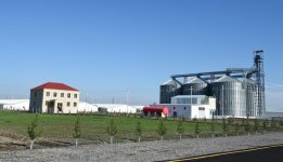 Ilham Aliyev visits poultry farm in Sabirabad district (PHOTO)