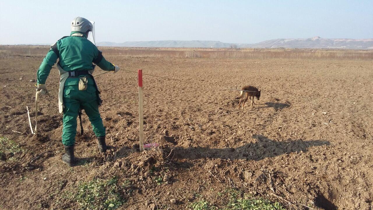 Cocuq Mərcanlıda TM-62 minasının gücləndiricisi tapılıb (FOTO)