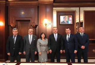 Bakan Çavuşoğlu AKPM Azerbaycan Heyeti Başkanı ile görüştü