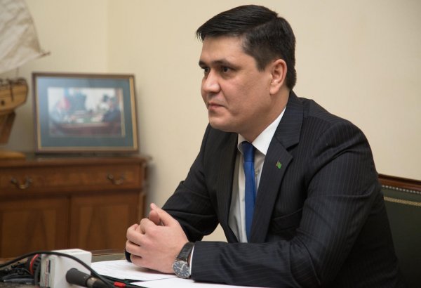 Проект ТАПИ позволит диверсифицировать маршруты экспорта энергоресурсов Туркменистана - посол