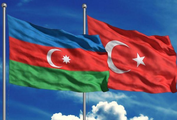 Азербайджанские экологи выразили поддержку турецким коллегам в борьбе с лесными пожарами