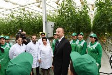 President Aliyev views work carried out in "Baku Agropark" in Zira settlement (PHOTO)