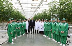 Президент Ильхам Алиев ознакомился с работой, проведенной в "BAKU AGROPARK" (ФОТО)
