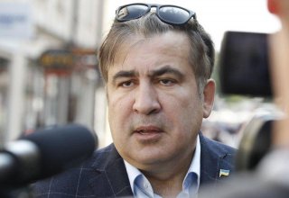 Saakashvili suffers psychological distress, ex-president's mother says