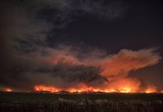 В Калифорнии эвакуируют более 6 тыс. человек из-за лесного пожара