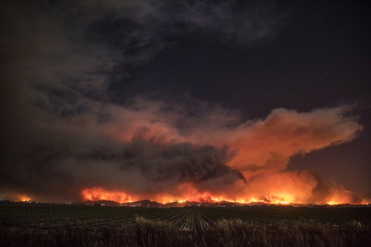В Калифорнии эвакуируют более 6 тыс. человек из-за лесного пожара