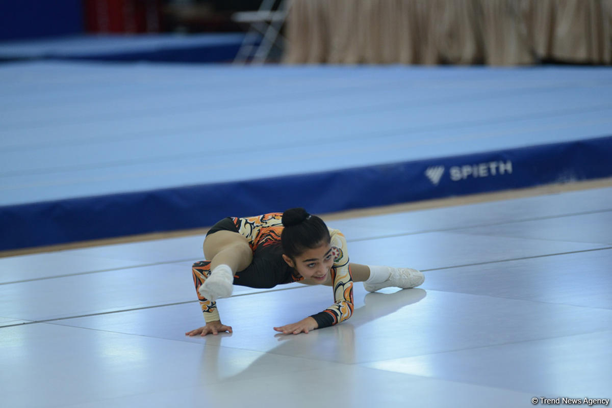 Завершились первенства Азербайджана и чемпионаты Баку по трем гимнастическим дисциплинам (ФОТО)