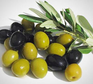 Грузинские оливки пойдут на экспорт в США и Европу