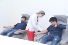 Азербайджанские спортсмены провели донорскую акцию (ФОТО)