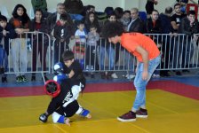 Азербайджанские бойцы стали чемпионами Евразии по кэмпо (ФОТО)