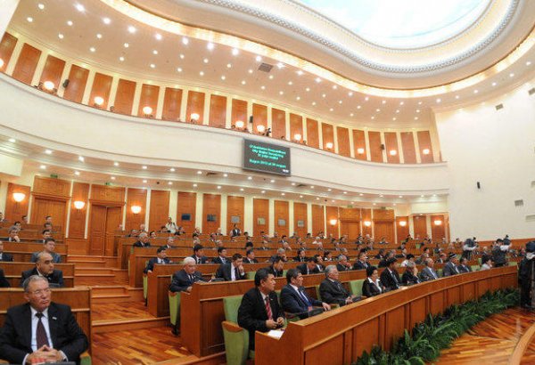 Сенат Узбекистана одобрил закон «Об административных процедурах»