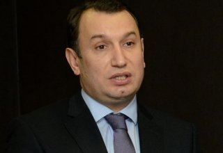 В Азербайджане оказывается поддержка развитию более 10 стартапов - замминистра