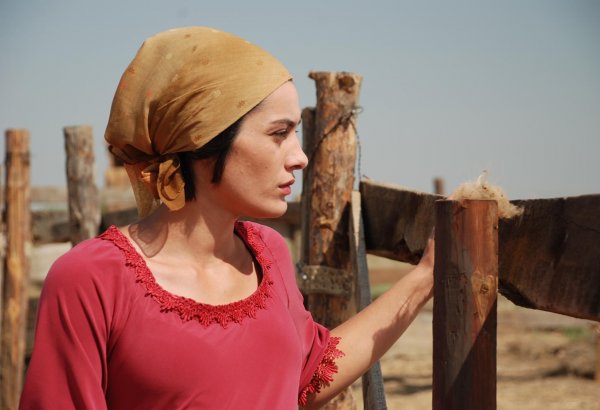 Азербайджанский фильм вошел в конкурсную программу онлайн-кинофестиваля в Словакии (ФОТО)