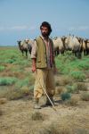 Азербайджанский фильм признан лучшим в Австралии (ФОТО)
