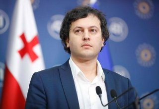 Председатель парламента Грузии подал в отставку