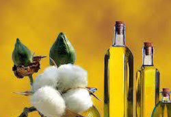 Turkmen company discloses data on volume of production of cottonseed oil