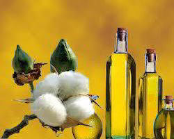 Uzbek government ceases regulation of price for cotton oil