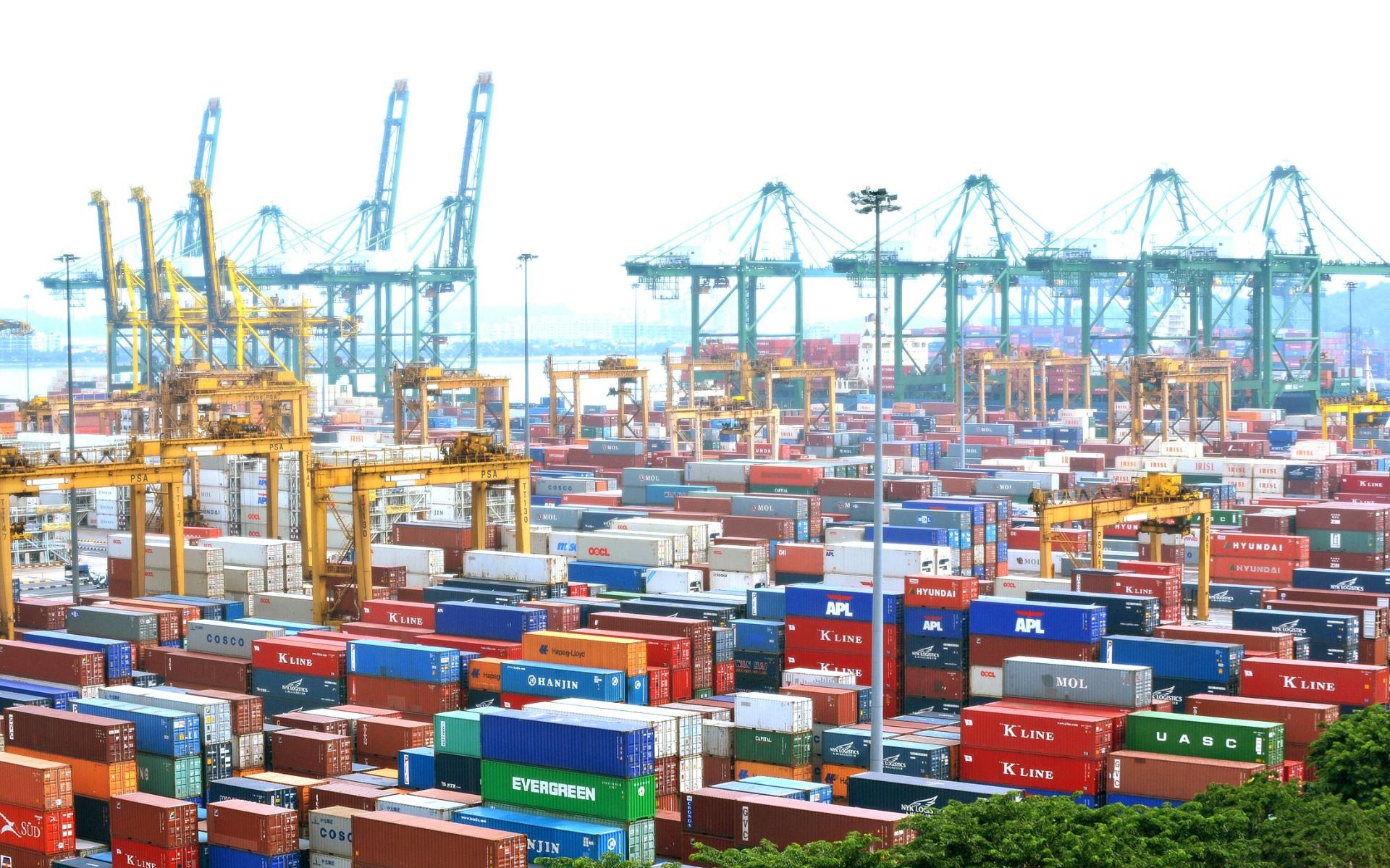 Volume of cargo transported from Netherlands through Turkish ports revealed