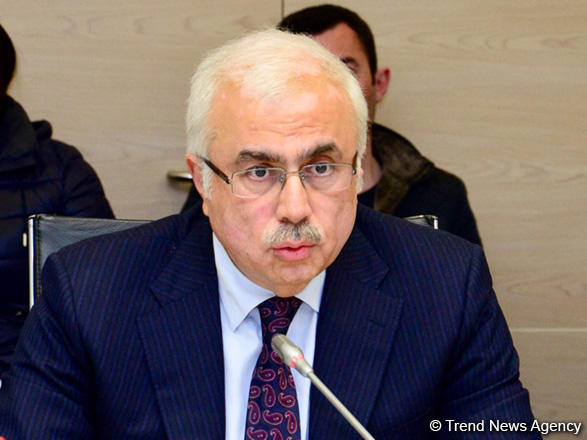 Khazar car plant to help introduce new technologies in Azerbaijan: deputy minister