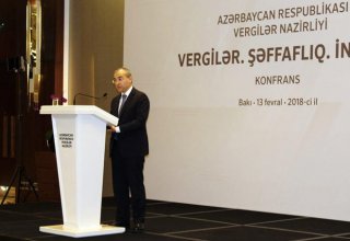 Transparency to be ensured in Azerbaijan's tax system – minister