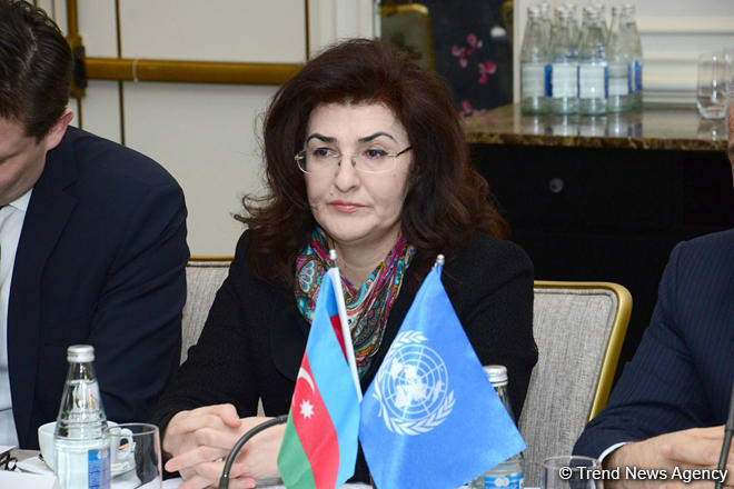 "Baku Principles" to be developed as part of UN Sustainable Development Goals (PHOTO)