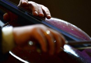 У французской виолончелистки украли инструмент за 1,3 миллиона евро