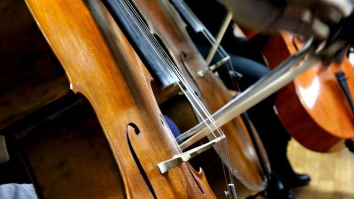 Məşhur musiqiçinin 1,3 milyon avroluq violonçeli oğurlanıb