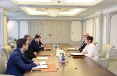 Первый вице-президент Мехрибан Алиева встретилась с председателем Организации культуры и исламских связей Ирана (ФОТО)