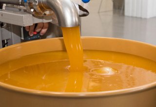 Volume of Azerbaijan's honey production revealed