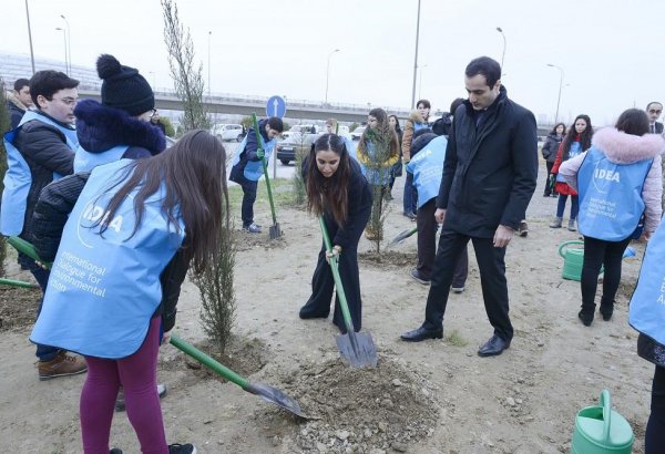 Leyla Əliyeva "Xocalıya ədalət!" kampaniyası çərçivəsində ağacəkmə aksiyasında iştirak edib (FOTO)