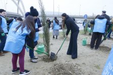 Вице-президент Фонда Гейдара Алиева Лейла Алиева приняла участие в акции по посадке деревьев в рамках кампании "Справедливость для Ходжалы!" (ФОТО)