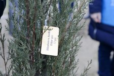 Leyla Əliyeva "Xocalıya ədalət!" kampaniyası çərçivəsində ağacəkmə aksiyasında iştirak edib (FOTO)