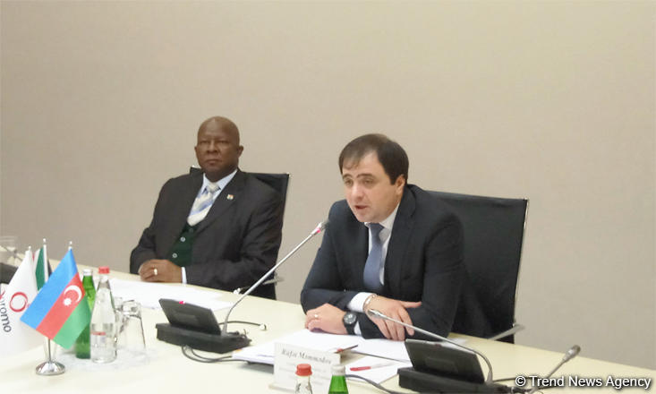 Azerbaijan interested in expanding trade turnover with South African Republic (PHOTO)